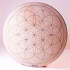Flower of life tray 