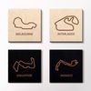 Formula 1 coaster, different race tracks